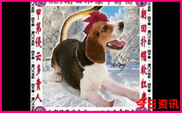 山东两日游最值得去的地方